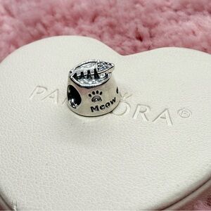 Cat Bowl Pandora Charm